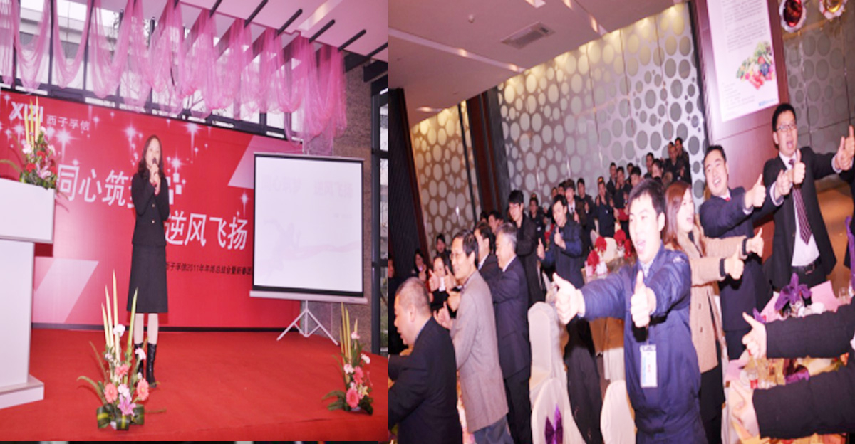 熱烈慶祝2016年表彰大會圓滿舉辦